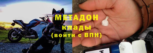 шишки Аркадак