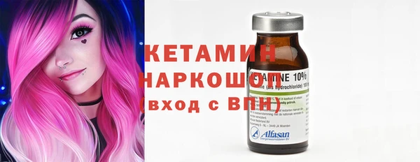 шишки Аркадак