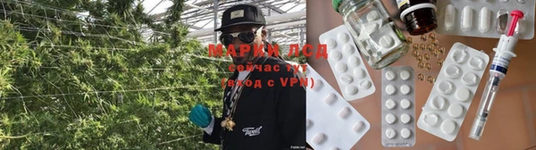 шишки Аркадак