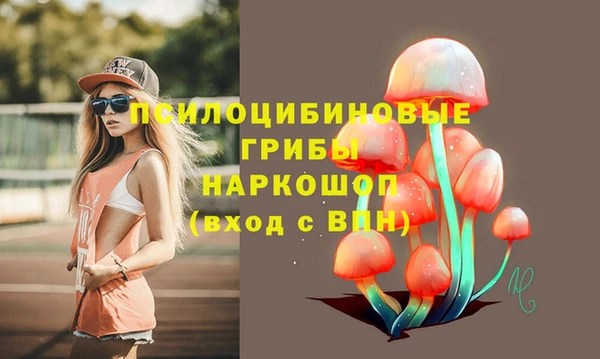 apvp Армянск