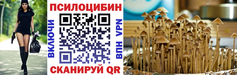 omg ссылки  Балей  Псилоцибиновые грибы Psilocybine cubensis 